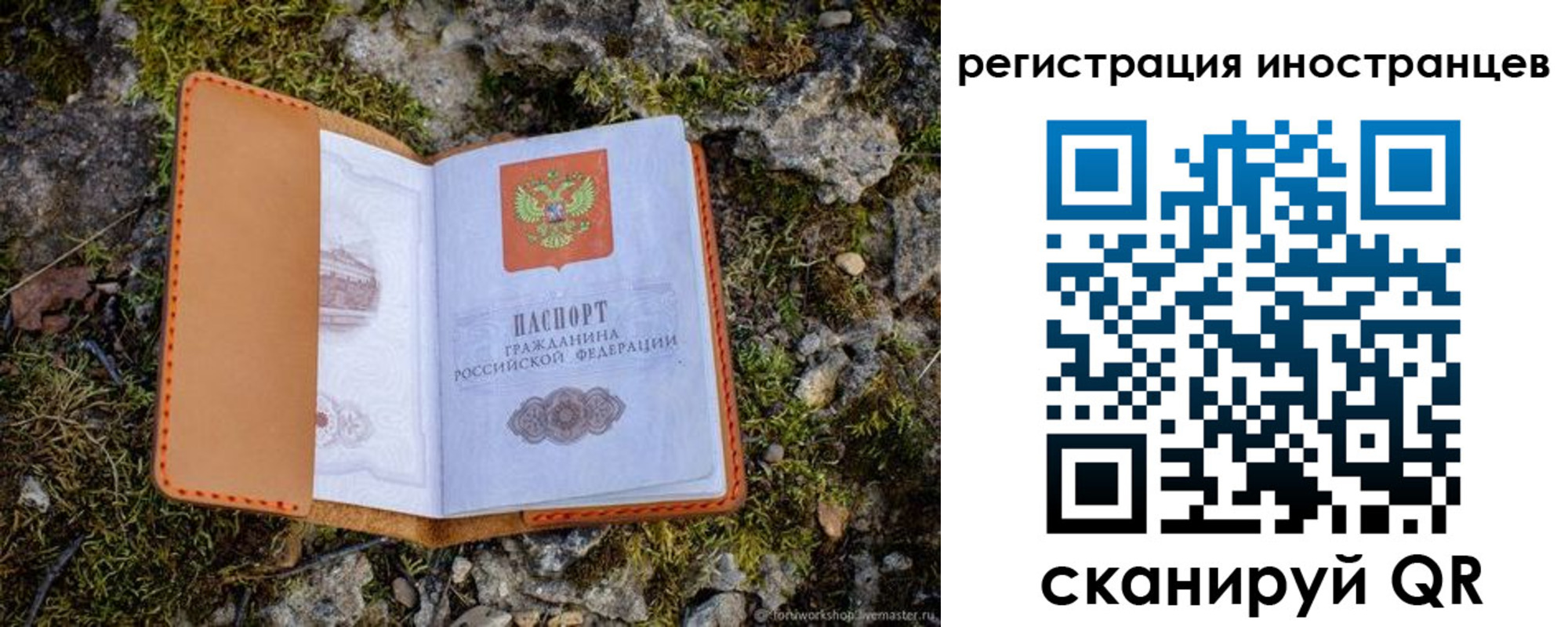 прописка паспорт в Новом Осколе